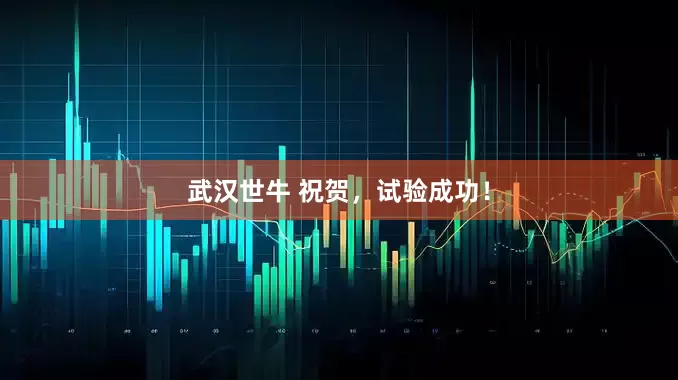 武汉世牛 祝贺，试验成功！