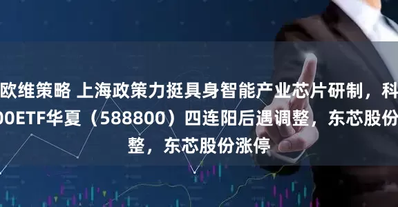 欧维策略 上海政策力挺具身智能产业芯片研制，科创100ETF华夏（588800）四连阳后遇调整，东芯股份涨停
