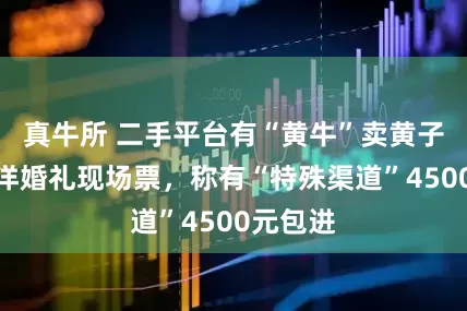 真牛所 二手平台有“黄牛”卖黄子韬徐艺洋婚礼现场票，称有“特殊渠道”4500元包进