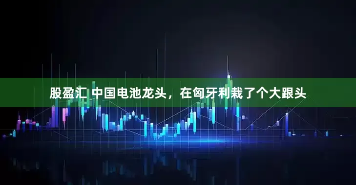 股盈汇 中国电池龙头，在匈牙利栽了个大跟头